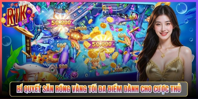 Bí Quyết Săn Rồng Vàng Tối Đa Điểm Dành Cho Cược Thủ