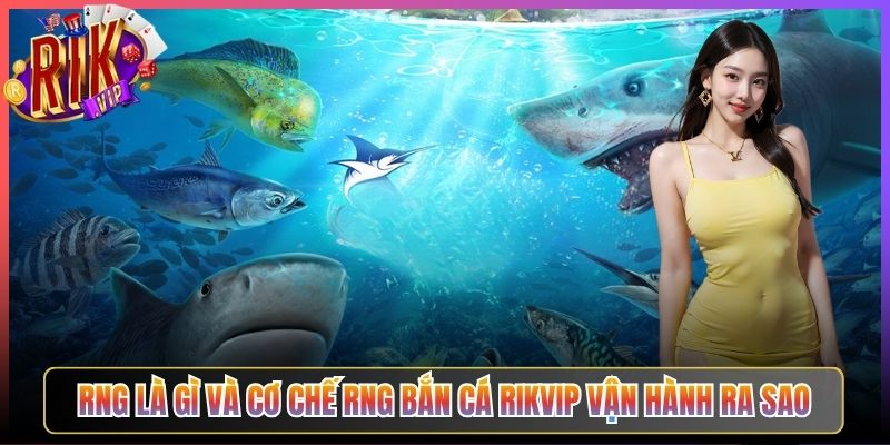 RNG Là Gì Và Cơ Chế RNG Bắn Cá Rikvip Vận Hành Ra Sao