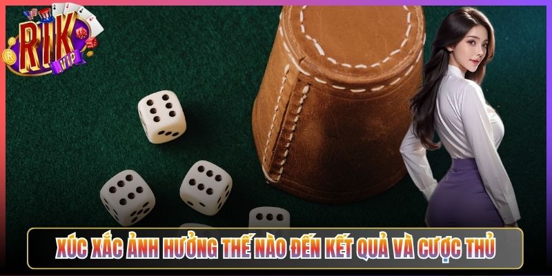Xúc Xắc Ảnh Hưởng Thế Nào Đến Kết Quả Và Cược Thủ