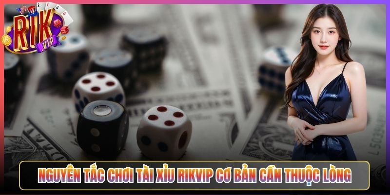 Nguyên Tắc Chơi Tài Xỉu Rikvip Cơ Bản Cần Thuộc Lòng