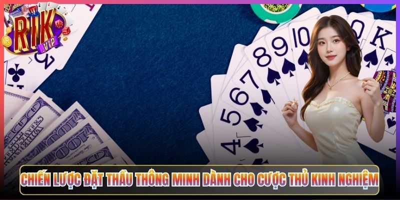 Chiến Lược Đặt Thầu Thông Minh Dành Cho Cược Thủ Kinh Nghiệm